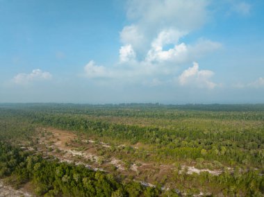 Koh Prathong Adası, Phang nga Tayland, Yeşillik Botanik Ormanı, İHA geniş açılı mercek