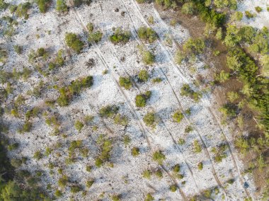 Koh Prathong Adası, Phang nga Tayland, Yeşillik Botanik Ormanı, İHA geniş açılı mercek