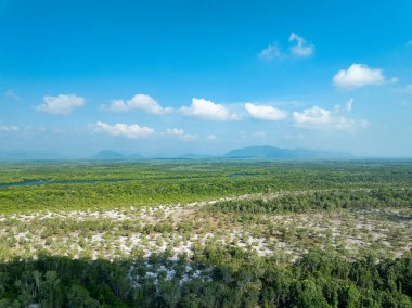 Koh Prathong Adası, Phang nga Tayland, Yeşillik Botanik Ormanı, İHA geniş açılı mercek