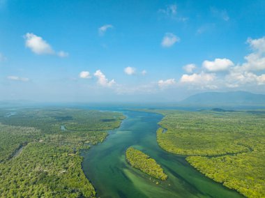 Koh Prathong Adası, Phang nga Tayland, Yeşillik Botanik Ormanı, İHA geniş açılı mercek