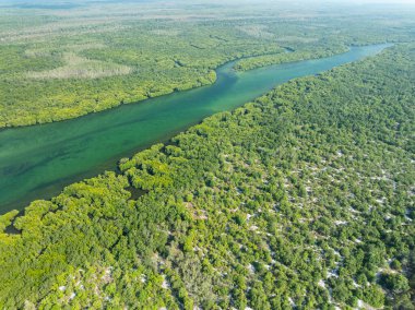 Koh Prathong Adası, Phang nga Tayland, Yeşillik Botanik Ormanı, İHA geniş açılı mercek