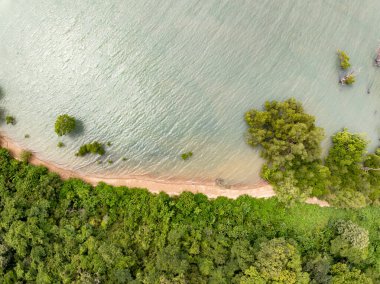 İnanılmaz bereketli mangrov orman nehri, orman ağaçlarının havadan görünüşü yağmur ormanları ekosistemi ve sağlıklı çevre arka planı, yeşil ağaçların dokusu yukarıdan aşağıya doğru yüksek açı manzarası.