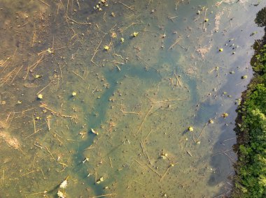 Aerial view top down Drone view over swamp or lake,Amazing nature view in the morning at Klong root lake Krabi Thailand