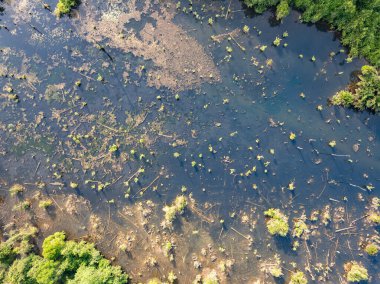 Aerial view top down Drone view over swamp or lake,Amazing nature view in the morning at Klong root lake Krabi Thailand