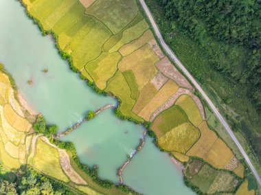 Kuzey Vietnam 'daki Trung Khanh, Cao Bang vilayetindeki Phong Nam köyünde pirinç tarlasıyla hava manzaralı bir manzara.
