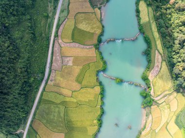 Kuzey Vietnam 'daki Trung Khanh, Cao Bang vilayetindeki Phong Nam köyünde pirinç tarlasıyla hava manzaralı bir manzara.