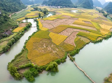Kuzey Vietnam 'daki Trung Khanh, Cao Bang vilayetindeki Phong Nam köyünde pirinç tarlasıyla hava manzaralı bir manzara.