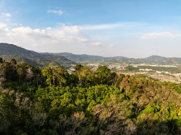 Yaz mevsiminde güzel tropikal yağmur ormanları Aerial view insansız hava aracı görüntüsü, yüksek açılı görüntü