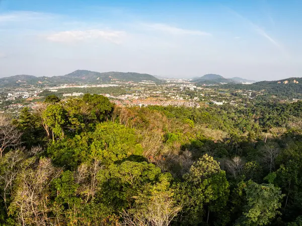 Yaz mevsiminde güzel tropikal yağmur ormanları Aerial view insansız hava aracı görüntüsü, yüksek açılı görüntü