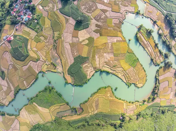Kuzey Vietnam 'daki Trung Khanh, Cao Bang vilayetindeki Phong Nam köyünde pirinç tarlasıyla hava manzaralı bir manzara.