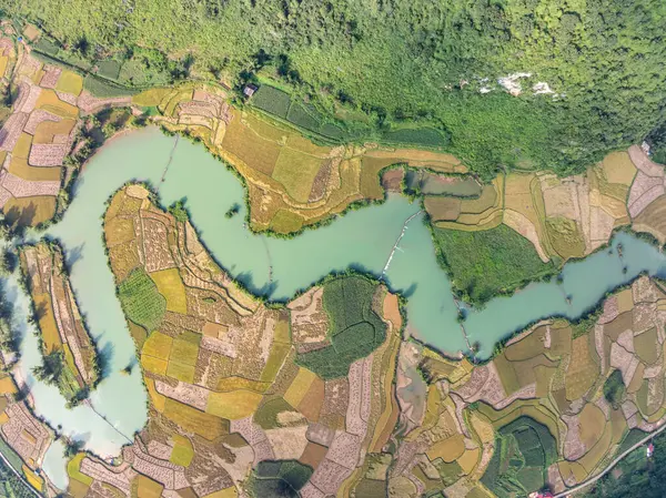 Kuzey Vietnam 'daki Trung Khanh, Cao Bang vilayetindeki Phong Nam köyünde pirinç tarlasıyla hava manzaralı bir manzara.