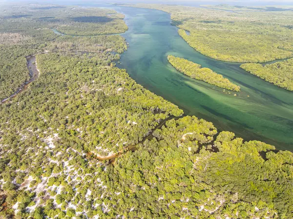 Koh Prathong Adası, Phang nga Tayland, Yeşillik Botanik Ormanı, İHA geniş açılı mercek