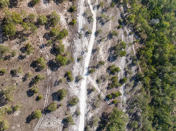 Koh Prathong Adası, Phang nga Tayland, Yeşillik Botanik Ormanı, İHA geniş açılı mercek