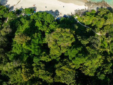 Dağların, tropikal yağmur ormanlarının, kuş bakışı orman ağaçlarının, inanılmaz doğa arka planının hava görüntüsü.