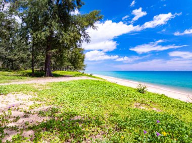 Güzel renkli kumsal sahili arka planı, inanılmaz sahil dalgaları arka planı, geniş açılı deniz manzarası.