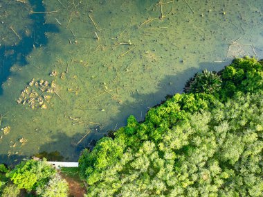 Aerial view top down Drone view over swamp or lake,Amazing nature view in the morning at Klong root lake Krabi Thailand