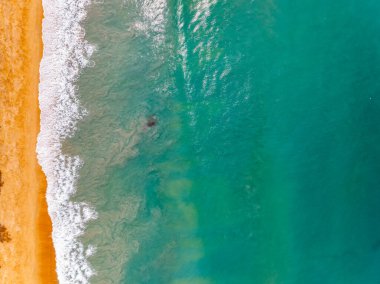 Sahilin tepesinde doğa dalgaları kumlu deniz manzarasına çarpan inanılmaz dalgalar.