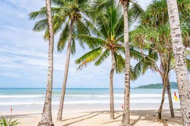 Güzel plaj arka planı, Phuket Tayland sahilinde hindistan cevizi palmiyeleri olan doğal manzara, güneşli bir günde plaj ve deniz, sahil bölgesi doğa arka planı.