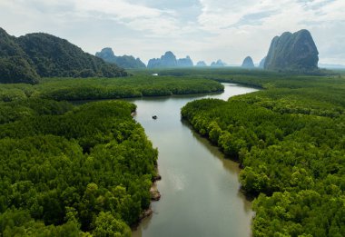 Mangrov ormanı ve nehir manzarası Krabi Tayland 'da, güzel mangrov ağaçları yeşil arka plan, yüksek açılı ağaçlar arka plan
