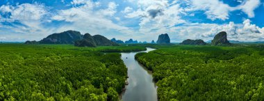 Mangrov ormanı ve nehir manzarası Krabi Tayland 'da, güzel mangrov ağaçları yeşil arka plan, yüksek açılı ağaçlar arka plan