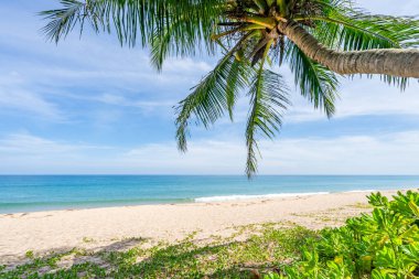 Güzel kumsal güneşli gökyüzü manzarası, güzel doğa sahili arka planı