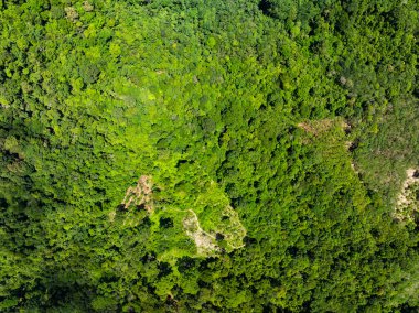 Phuket Tayland 'da güzel manzara doğa manzarası