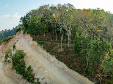 Ormanların yok edilmesi, ormanların tahrip edilmesi, kırsal bölgelerdeki arazi erozyonu, ormanların yok edilmesi çevresel yıkım, insan gelişimi için yağmur ormanlarının yok edilmesi.