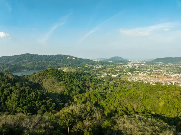 Üst manzara yeşil orman ağaçları arka plan, güzel yeşil doğa arka plan