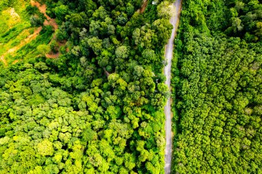 Hava manzaralı Tropikal yağmur ormanları dağları, tepedeki yeşil orman arka planı
