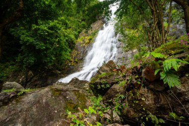 Sarika şelalesi, ön planda kayalar Nakhon nayok Tayland 'da güzel bir şelale.