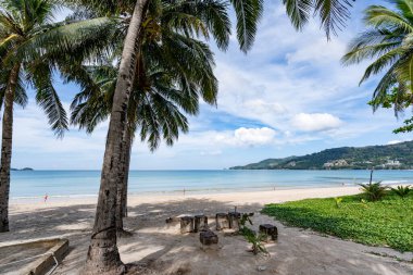 Güzel plaj arka planı, Phuket Tayland sahilinde hindistan cevizi palmiyeleri olan doğal manzara, güneşli bir günde plaj ve deniz, sahil bölgesi doğa arka planı.