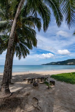 Güzel plaj arka planı, Phuket Tayland sahilinde hindistan cevizi palmiyeleri olan doğal manzara, güneşli bir günde plaj ve deniz, sahil bölgesi doğa arka planı.