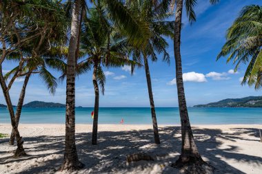Güzel plaj arka planı, Phuket Tayland sahilinde hindistan cevizi palmiyeleri olan doğal manzara, güneşli bir günde plaj ve deniz, sahil bölgesi doğa arka planı.