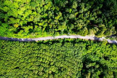 Hava manzaralı Tropikal yağmur ormanları dağları, tepedeki yeşil orman arka planı