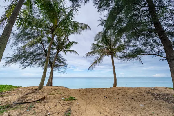 Güneşli bir günde güzel kumlu sahil ve deniz, güzel bir günde mavi gökyüzü, deniz bölgesi doğa arka planı.