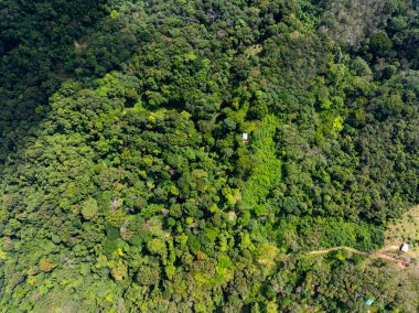 Yüksek açılı manzara dağları yağmur ormanları yeşil arkaplan