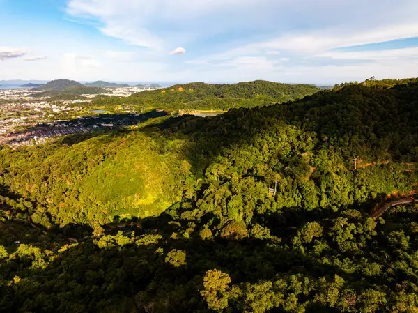 Yüksek açılı manzara dağları yağmur ormanları yeşil arkaplan