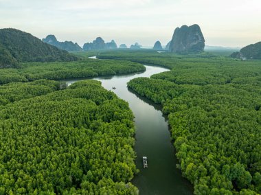 İnsansız hava aracı görüntüsü Tayland 'daki Mangrove ormanları
