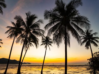Gün batımında siluet hindistan cevizi palmiyeleri ya da deniz üzerinde gün doğumu gökyüzü, inanılmaz renkli gökyüzü doğa manzarası, güzel doğa gökyüzü ve bulutlar arka plan
