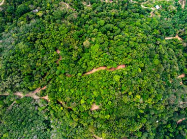 Yüksek açılı manzara dağları yağmur ormanları yeşil arkaplan