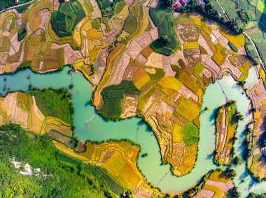 Kuzey Vietnam 'daki yeşil pirinç tarlasının havadan görünüşü, Kuzey Vietnam' daki güzel varış yeri, seyahat ve manzara, doğa ve pirinç tarlaları.