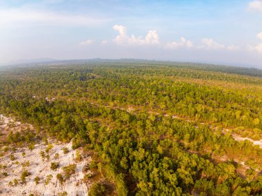 Koh Prathong Adası, Phang nga Tayland, Yeşillik Botanik Ormanı, İHA geniş açılı mercek