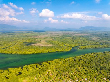 Koh Prathong Adası, Tayland mangrov ormanlarının arka plan dokusunun yukarıdan aşağı görüntüsü.