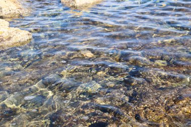 Piedras en el fondo marino, orilla del mar meditrraneo