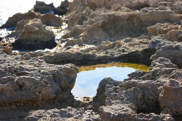 Pequeo charco de agua sobre una roca en la orilla de la playa