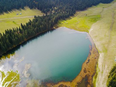Kırgızistan 'daki Grigoriev Vadisi' ndeki köknar ağaçları ve dağlarla çevrili yeşil çayırdaki güzel dağ gölü manzarası.
