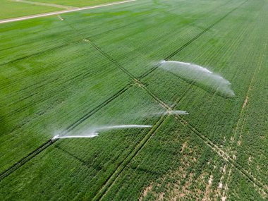Yağmur Silahı Fıskiyeleri Sulama Sistemi Buğday Sahası 'nın Hava Görünümü