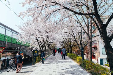 Seul, Güney Kore - 10 Nisan 2022: Seul Güney Kore 'de Kiraz Çiçekleri Bulvarı yakınında yürüyen insanlar