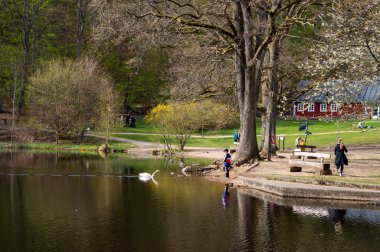 Ljungbyhed, İsveç - 12 Mart 2022: İsveç 'teki Soderasen Milli Parkı' nda göl