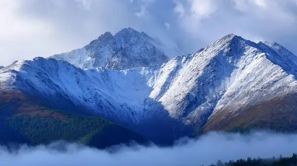 Doğu Kazakistan 'daki güzel kar kaplı Alatau dağlarının hava manzarası.